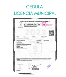 CEDULA LICENCIA MUNICIPAL-17