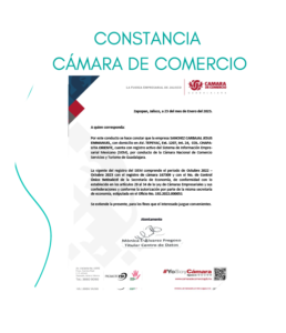 CONSTANCIA CAMARA-17